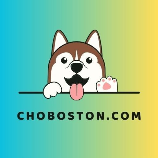 CHOBOSTON.COM